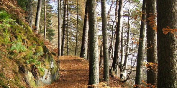 Things to do in Pitlochry
